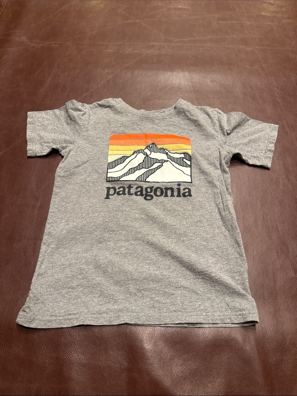 Patagonia Kids Heather Gray Tee with Sunset Mountain Graphic